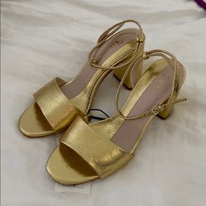 Zara Gold Block Heels